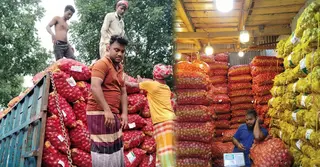 কৃষকের দীর্ঘশ্বাস, ফরিদপুরে উৎপাদন খরচের অর্ধেক দরে বিক্রি হচ্ছে পেঁয়াজ!